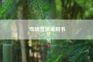 市场营销策划书