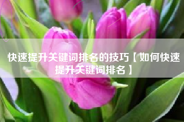 快速提升关键词排名的技巧【如何快速提升关键词排名】