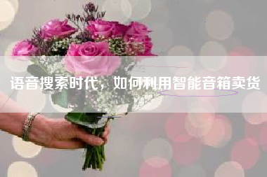 语音搜索时代，如何利用智能音箱卖货