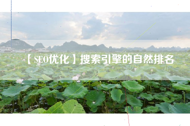 【SEO优化】搜索引擎的自然排名