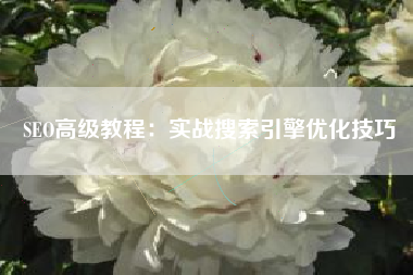 SEO高级教程:实战搜索引擎优化技巧 SEO高级教程:实战搜索引擎优化技巧