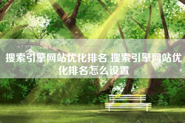 搜索引擎网站优化排名 搜索引擎网站优化排名怎么设置