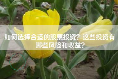如何选择合适的股票投资？这些投资有哪些风险和收益？