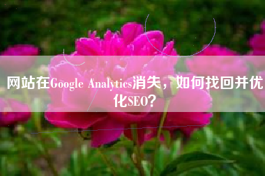 网站在Google Analytics消失，如何找回并优化SEO？