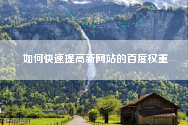 如何快速提高新网站的百度权重