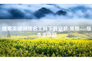 搜索关键词排名工具下载安装(黑帽seo)版本全攻略