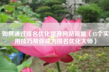 如何通过排名优化提升网站流量（15个实用技巧帮你成为排名优化大师）
