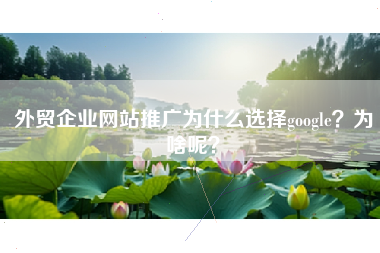 外贸企业网站推广为什么选择google？为啥呢？