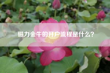 磁力金牛的开户流程是什么？