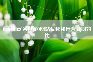 B2B和B2C谷歌SEO网站优化和运营异同对比