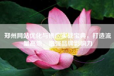郑州网站优化与推广实战宝典，打造流量高地，增强品牌影响力
