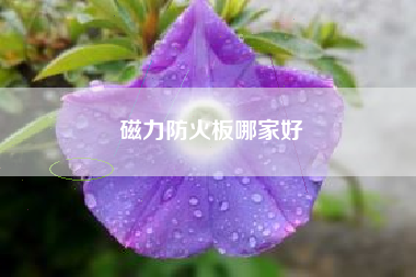磁力防火板哪家好