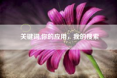关键词,你的应用，我的搜索