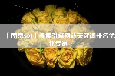 「南京SEO」搜索引擎网站关键词排名优化专家