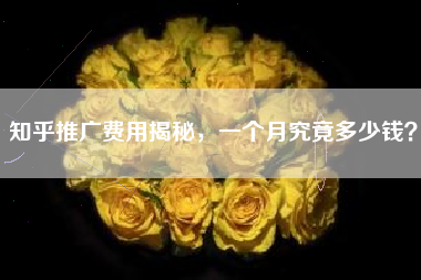 知乎推广费用揭秘，一个月究竟多少钱？