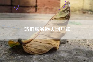 站群服务器火网互联