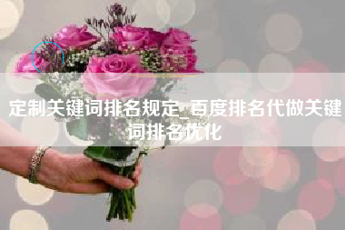 定制关键词排名规定_百度排名代做关键词排名优化