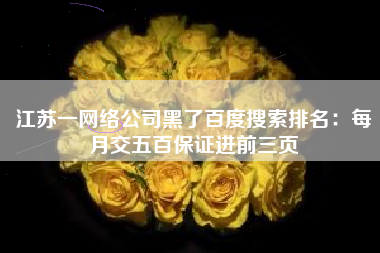 江苏一网络公司黑了百度搜索排名：每月交五百保证进前三页