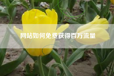 网站如何免费获得百万流量
