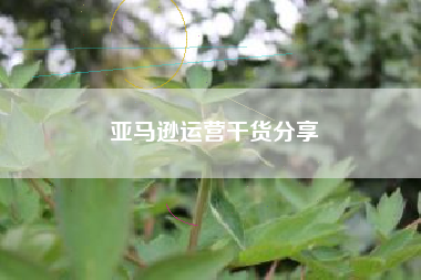 亚马逊运营干货分享