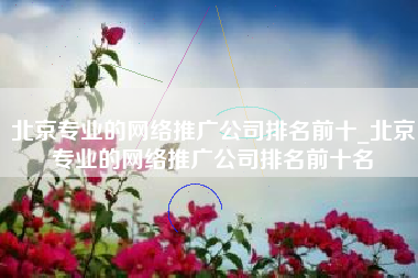 北京专业的网络推广公司排名前十_北京专业的网络推广公司排名前十名