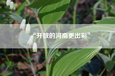 “开放的河南更出彩” “开放的河南更出彩”