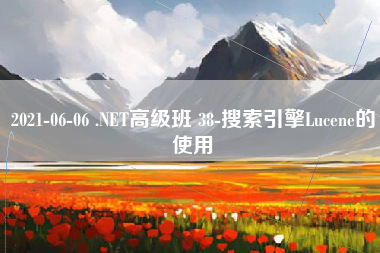 2021-06-06 .NET高级班 38-搜索引擎Lucene的使用