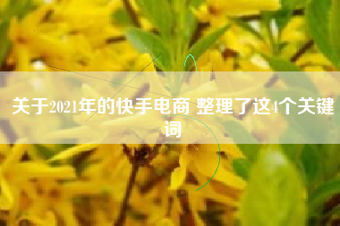 关于2021年的快手电商 整理了这4个关键词