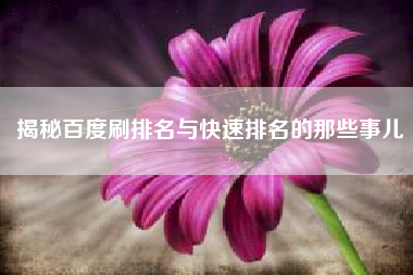 揭秘百度刷排名与快速排名的那些事儿