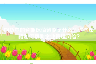 期货中的套期保值策略是什么？这些策略如何帮助企业管理风险？