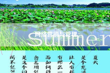 网络营销与管理