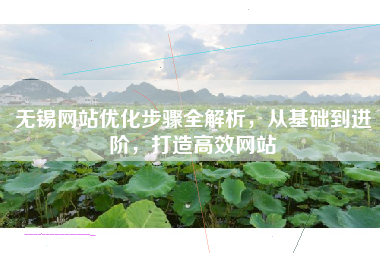 无锡网站优化步骤全解析，从基础到进阶，打造高效网站