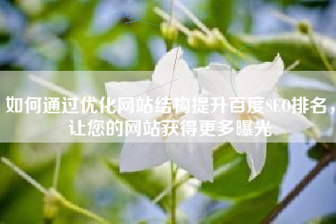 如何通过优化网站结构提升百度SEO排名，让您的网站获得更多曝光