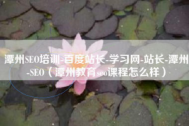 潭州SEO培训-百度站长-学习网-站长-潭州-SEO(潭州教育seo课程怎么样) 潭州SEO培训-百度站长-学习网-站长-潭州-SEO(潭州教育seo课程怎么样)