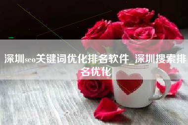 深圳seo关键词优化排名软件_深圳搜索排名优化