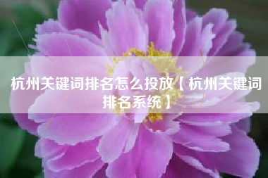杭州关键词排名怎么投放【杭州关键词排名系统】