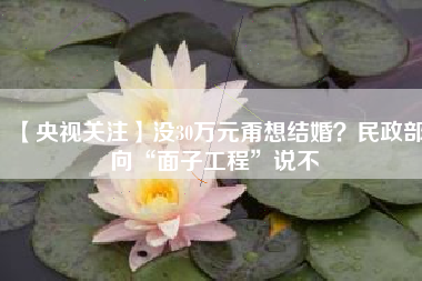 【央视关注】没30万元甭想结婚？民政部向“面子工程”说不