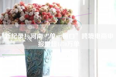 新纪录！河南“单一窗口”跨境电商申报量超1170万单