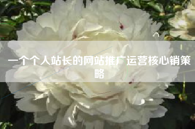 一个个人站长的网站推广运营核心销策略