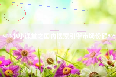 SEO小小课堂之国内搜索引擎市场份额2021