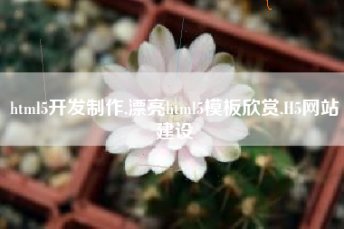 html5开发制作,漂亮html5模板欣赏,H5网站建设