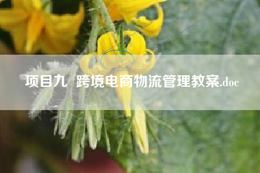 项目九 跨境电商物流管理教案.doc 项目九 跨境电商物流管理教案.doc