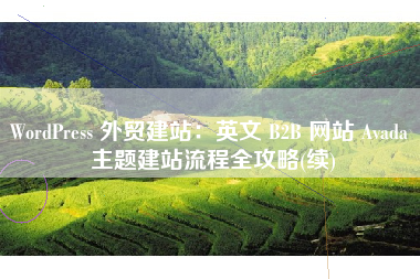 WordPress 外贸建站：英文 B2B 网站 Avada 主题建站流程全攻略(续)