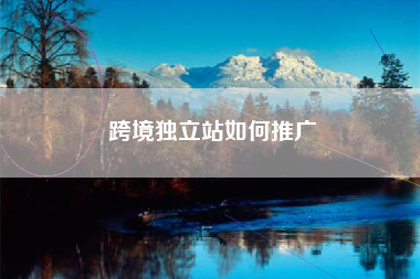 跨境独立站如何推广