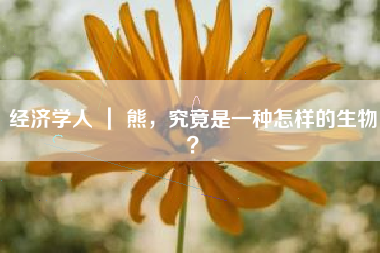 经济学人 ｜ 熊，究竟是一种怎样的生物？
