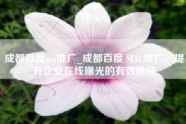 成都百度seo推广_成都百度 SEO 推广，提升企业在线曝光的有效途径