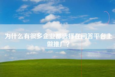 为什么有很多企业都选择在问答平台上做推广？
