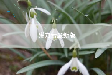 磁力云最新版