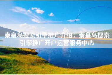 秦皇岛搜索引擎推广介绍，秦皇岛搜索引擎推广开户运营服务中心