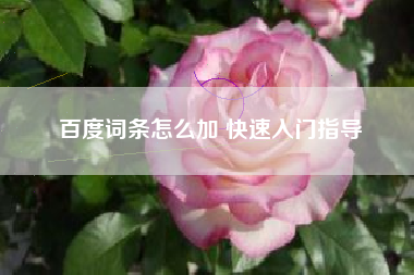 百度词条怎么加 快速入门指导